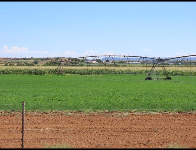 213HA FARM FOR SALE IN HOPETOWN RURAL